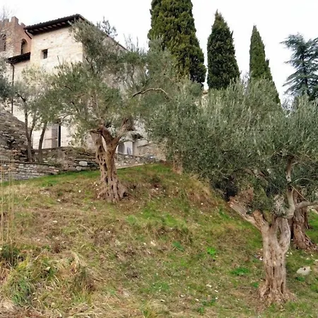 Domus Ecclesiae